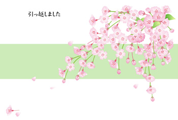 サンプル 春の転居はがき 桜-2